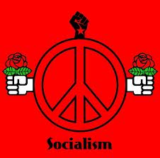 What are the pros and cons of socialism?